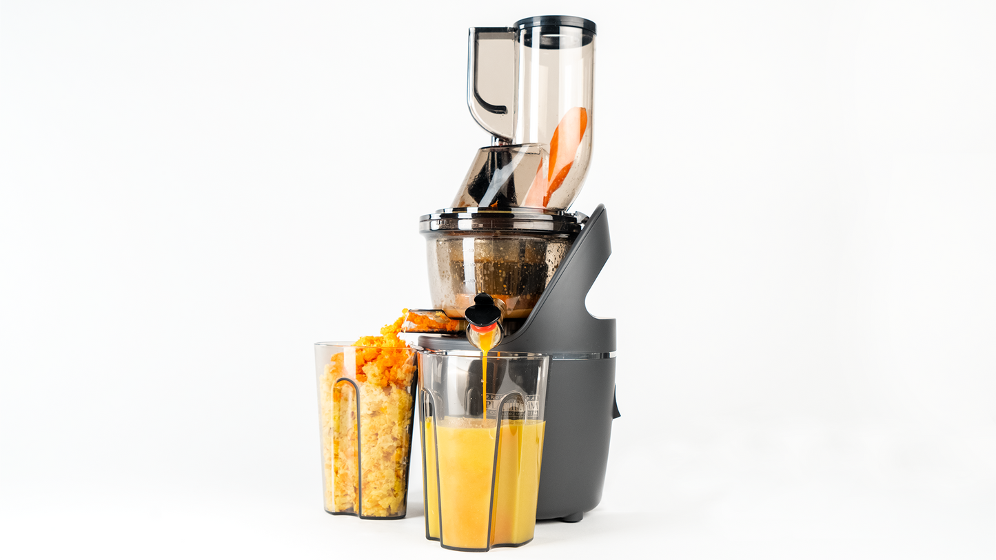 Platinum Slow Juicer & Sorbet System